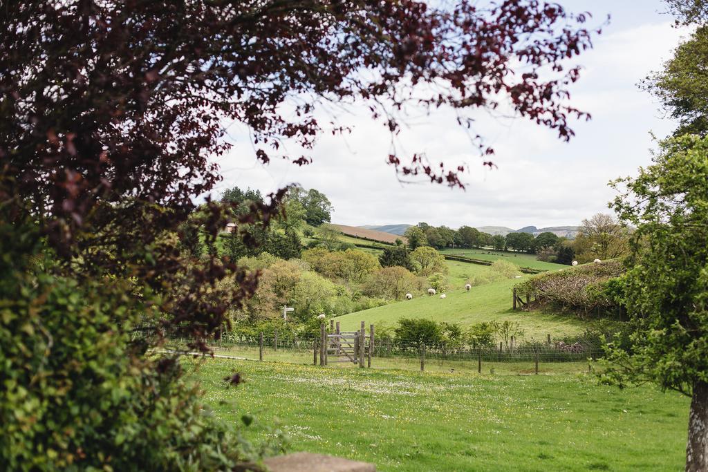 Pwllgwilym B & B Builth Wells Εξωτερικό φωτογραφία
