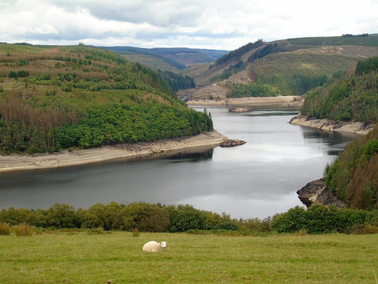 Pwllgwilym B & B Builth Wells Εξωτερικό φωτογραφία