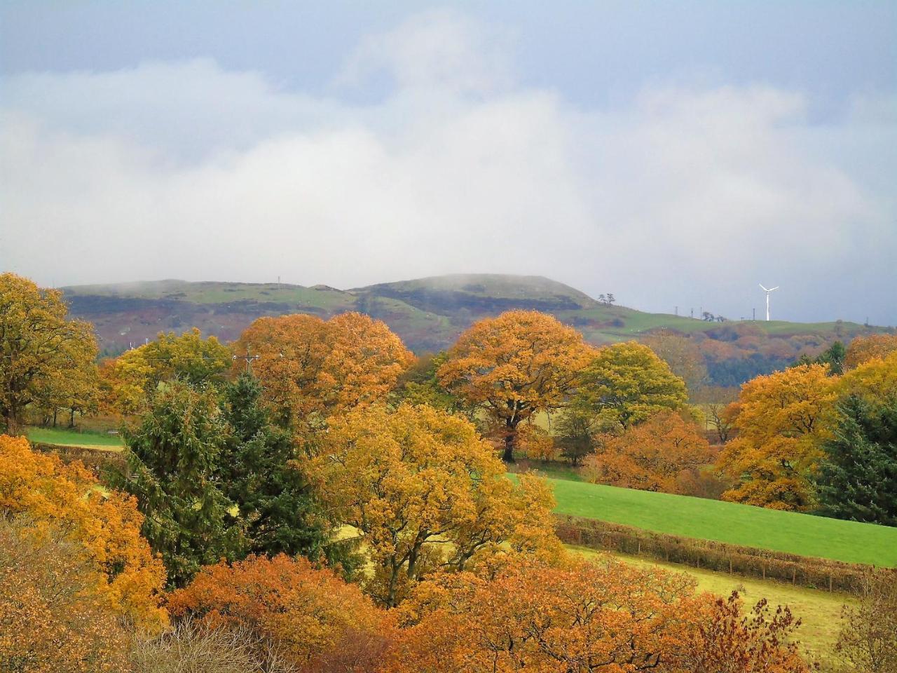 Pwllgwilym B & B Builth Wells Εξωτερικό φωτογραφία